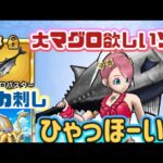 【ドラクエウォーク】【夫婦でDQW】大マグロをぶん回したい！炸裂💥嫁のイカ漁狩りかり〜！