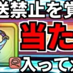 【ドラクエウォーク】ガチャの闇を暴く【みわくのリボン】【あぶない水着】【あぶないみずぎ】【ドラゴンクエストウォーク】【DQW】【 DQウォーク】【攻略】【弱点】