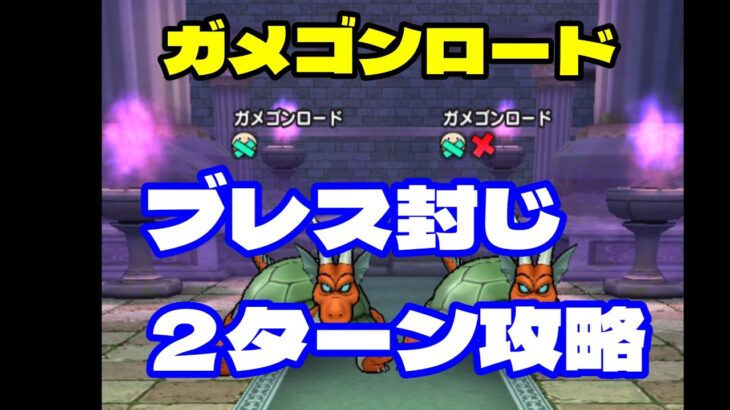 【ほこら】ガメゴンロード攻略　ブレス封じ２ターン【ドラクエウォーク】