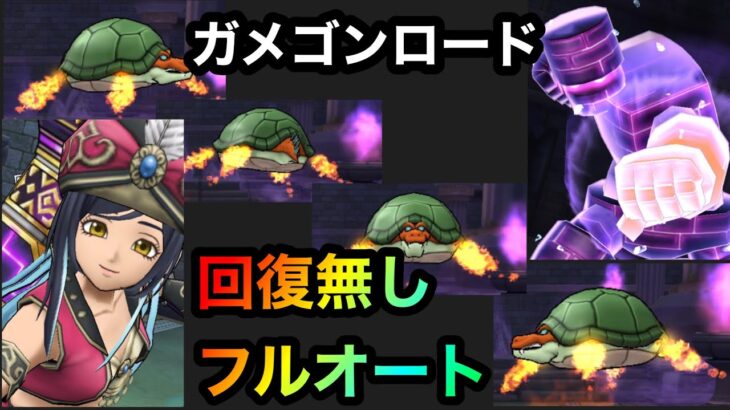 【ドラクエウォーク】ガメゴンロードほこら⭐︎回復無しフルオート攻略⭐︎