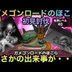 【ドラクエウォーク】ガメゴンロード のほこら 初見討伐 企画泣かせなあれが来る【ドラゴンクエストウォーク】