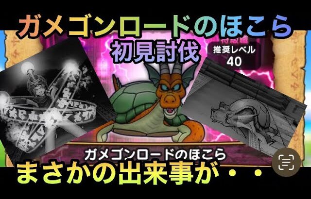 【ドラクエウォーク】ガメゴンロード のほこら 初見討伐 企画泣かせなあれが来る【ドラゴンクエストウォーク】