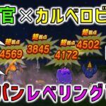 【ドラクエウォーク】大神官×カルベロビュートでもワンパンレベリングが可能！レベリングの課題が解決しました！！！