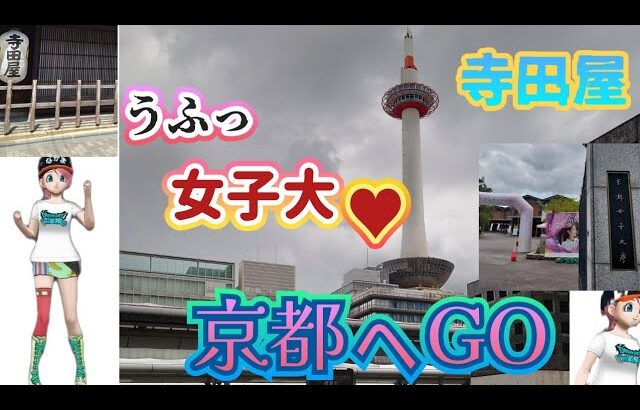 【ドラクエウォーク】【ポートピア連続殺人事件・京都編】京都にメガモンはいない！そのココロは？夏の京都・大捜査！