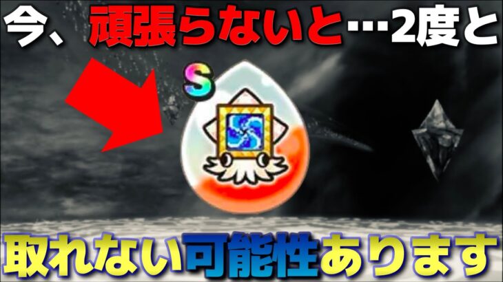 【ドラクエウォーク】イベント心珠の重要性について語らせて下さい。今を逃すと２度と引けないかもしれません。