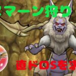 【ドラクエウォーク】ハヌマーンの直ドロSを求めて