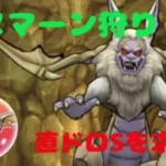 【ドラクエウォーク】ハヌマーンの直ドロSを求めて