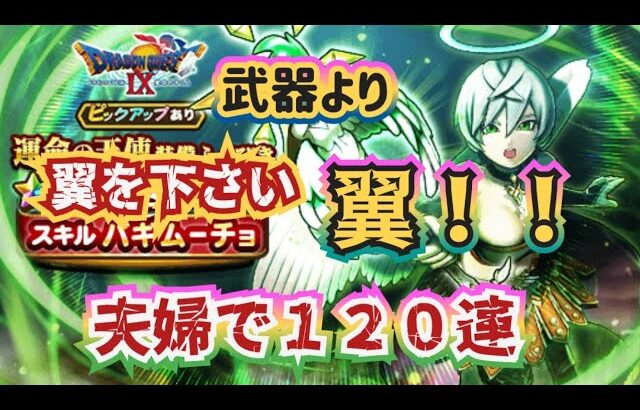 【ドラクエウォーク】【DQWガチャ】嫁的アタリは天使の翼！引き当てろ天使の翼！夫婦で１２０連！！