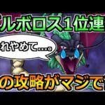 【ドラクエウォーク】バルボロスのガチガチ攻略！1位連発で狙える鉄板編成！