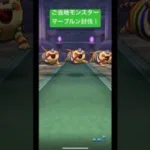 ドラクエウォーク【ご当地モンスター】マーブルン討伐‼️【ドラゴンクエストウォーク】【DQW】
