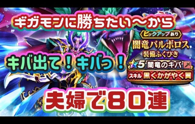 【ドラクエウォーク】【DQWガチャ】ギガモンに勝つためにキバ　ちょうだい！夫婦で８０連