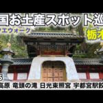 【ドラクエウォーク】全国お土産スポット巡り〜栃木編〜那須高原＆竜頭の滝＆日光東照宮＆餃子像【日本一周】