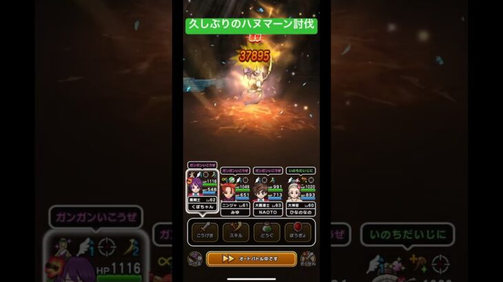 【ドラクエウォーク】久しぶりのハヌマーン討伐‼️【ドラゴンクエストウォーク】【DQW】【宝の地図】