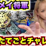 【ドラクエウォーク】千里行ギュメイ将軍Sほしいんや！無課金ギャル勇者がいく！