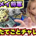 【ドラクエウォーク】千里行ギュメイ将軍Sほしいんや！無課金ギャル勇者がいく！