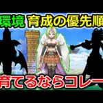 【ドラクエウォーク】新環境に突入！今育成するならこの職が一択、優先順位について！