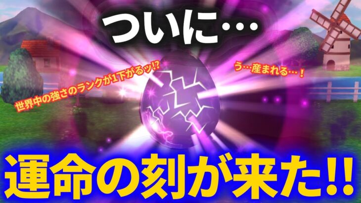 【ドラクエウォーク】ついに運命の時が訪れました……【なかまモンスター】【モンスターグランプリ】