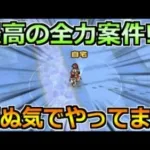 【ドラクエウォーク】やることが多い中で全力で取り組んでること！超廃人仕様のクリアを目指してｗ
