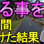 【ドラクエウォーク】ある事を1年間やり続けた結果【ガチャ】【初心者】【攻略】【DQW】