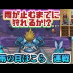 【ドラクエウォーク】【DQW】風邪、病み上がり勇者・執念のほこら連戦!＆基本職にしたらどんな地図が生まれる?