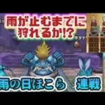 【ドラクエウォーク】【DQW】風邪、病み上がり勇者・執念のほこら連戦!＆基本職にしたらどんな地図が生まれる?