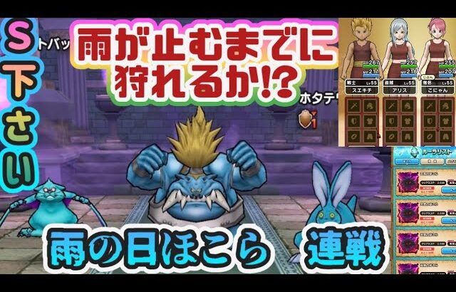 【ドラクエウォーク】【DQW】風邪、病み上がり勇者・執念のほこら連戦!＆基本職にしたらどんな地図が生まれる?