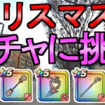 【ドラクエウォーク】ガチャに挑む クリスマス復刻ガチャ【カルベロビュート】【初心者】【攻略】【DQW】