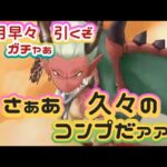 【ドラクエウォーク】【DQWガチャ】【スマートウォーク】さぁ　来たぞー新特級職・ドラゴン！正月　こにゃん家のコンプ案件！