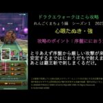 ドラクエウォークほこら攻略心眼たぬき・強