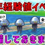 【ドラクエウォーク】お正月の経験値イベントに向けて準備しておきます！