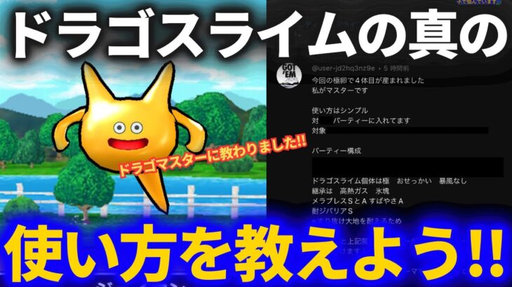 【ドラクエウォーク】ドラゴスライムの本当の使い方をお教えしましょう（受け売り）【なかまモンスター】