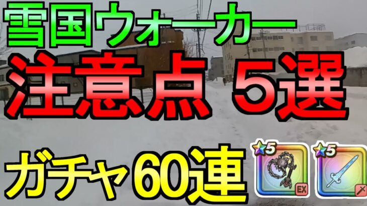 【ドラクエウォーク】ガチャで引けなかったら雪原ダッシュ 雪国ウォーカー5ヶ条の心得 破壊の鉄球【初心者】【攻略】【DQW】