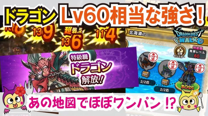 【ドラクエウォーク】#990・特級職ドラゴンＬｖ６０に到達！今回ははかいのてっきゅうを使ってあの有名な地図でワンパンレベリングができるかをご紹介していきます☆「ふぉーくちゃんねる」