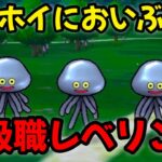 【ドラクエウォーク】【メタホイにおいぶくろ】上級職レベリング【ドラゴンクエストウォーク】【DQウォーク】【DQW】