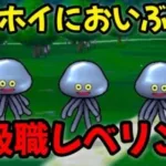 【ドラクエウォーク】【メタホイにおいぶくろ】上級職レベリング【ドラゴンクエストウォーク】【DQウォーク】【DQW】