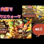 【ドラクエウォーク】夫婦でDQW 新春2024ドラゴン装備&DQモンスターズ25周年コラボ記念ふくびき 40連！