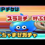 【ドラクエウォーク】【DQWガチャ】柴Ｐ配布はスラミチを連れてくるのか？愚痴るか？歓喜か？夫婦でガチャ！