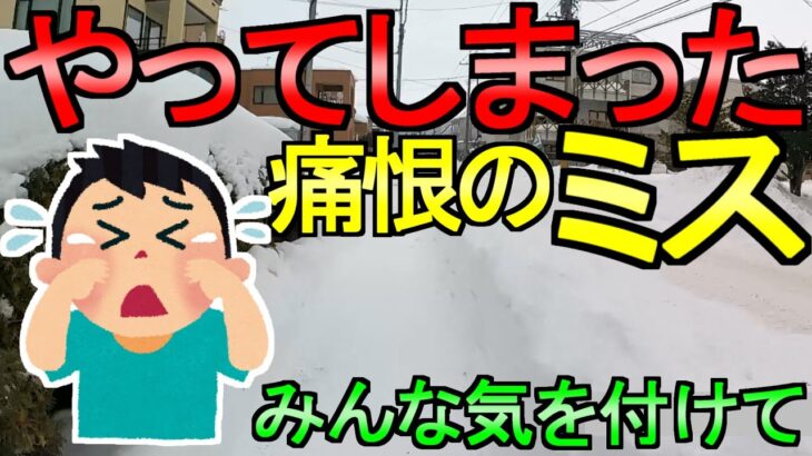 【ドラクエウォーク】痛恨のミス 雪の中の冒険 あくまの書のパーティについて考察【初心者】【攻略】【DQW】