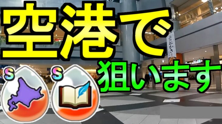 【ドラクエウォーク】空港で心珠ガチャをします【ガチャ】【初心者】【攻略】【DQW】