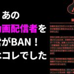 ドラクエウォークが出来なくなる危険な方法【ドラゴンクエストウォーク】【DQW】【DQウォーク】【攻略】【初心者】【無課金】【裏技】