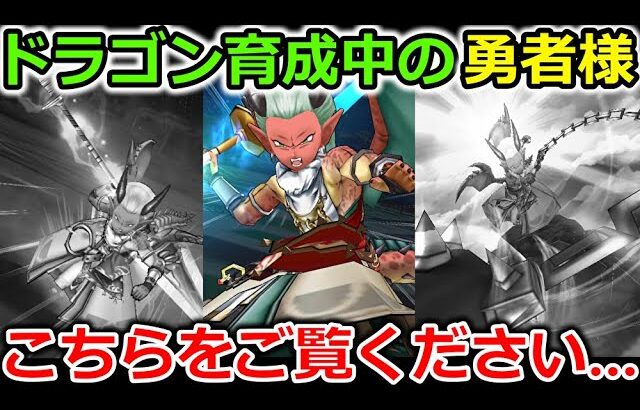 【ドラクエウォーク】ドラゴン育成中の勇者様へ…この職業色々ヤバいですｗｗｗｗ