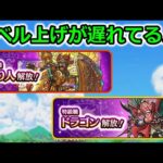 【ドラクエウォーク】怒涛の新職追加、守り人＆ドラゴンの平均レベルは果たしていくつなのか・・？