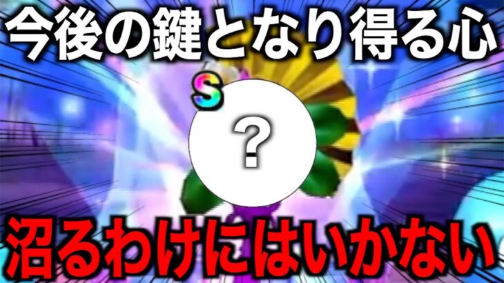 この傾向は珍しい…皆さんは今回どうですか？【ドラクエウォーク】【ドラゴンクエストウォーク】