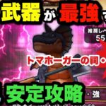 【ドラクエウォーク】トマホーガーの祠•強はあの武器が必須！？トマホーガー強を初見攻略！