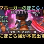 【ドラクエウォーク】トマホーガー のほこら・強 初見ほぼオート討伐 ほこら強が遂に本気出した⁉︎【ドラゴンクエストウォーク】