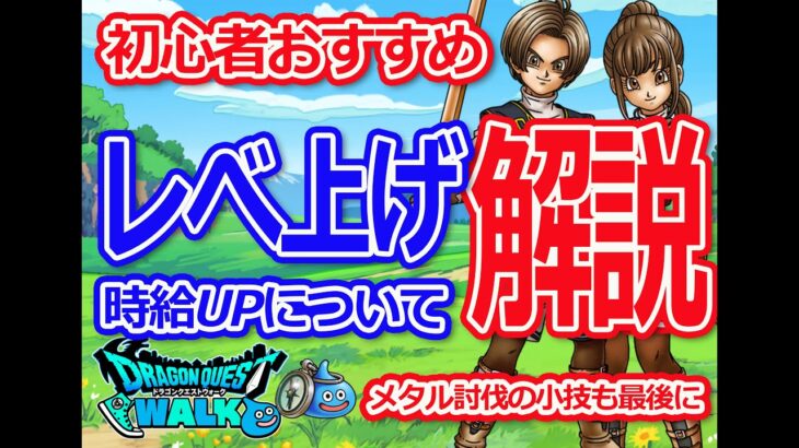 【ドラクエウォーク】2024　初心者向け　レベ上げ　基本的な考え方　解説してます♪