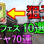 【ドラクエウォーク】ガチャ 小悪魔セティアロッドについて お宝フェス【初心者】【攻略】【DQW】