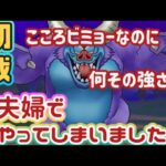 【ドラクエウォーク】【DQW】バルザックビースト夫婦で初戦！まさかの結果ガチャを待って　いた！