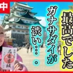【ドラクエウォーク】ガナサダイ５２体でS1どんだけ生放送！！