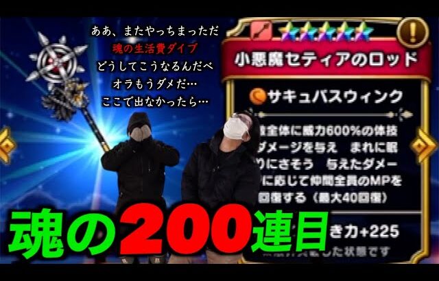 小悪魔セティアガチャ魂の２００連目で神は言っている、ここで死ぬ運命ではないと【ドラクエウォーク】【ドラゴンクエストウォーク】